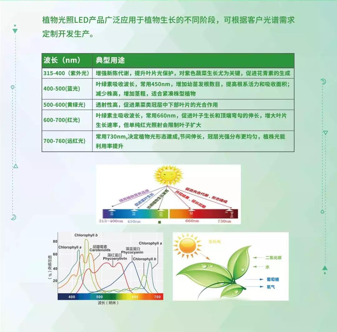 LED植物照明，真的火了？