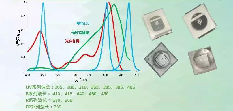 LED植物照明，真的火了？