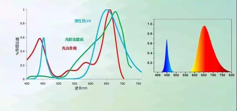 LED植物照明，真的火了？