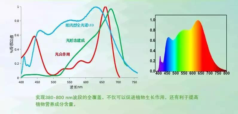 LED植物照明，真的火了？