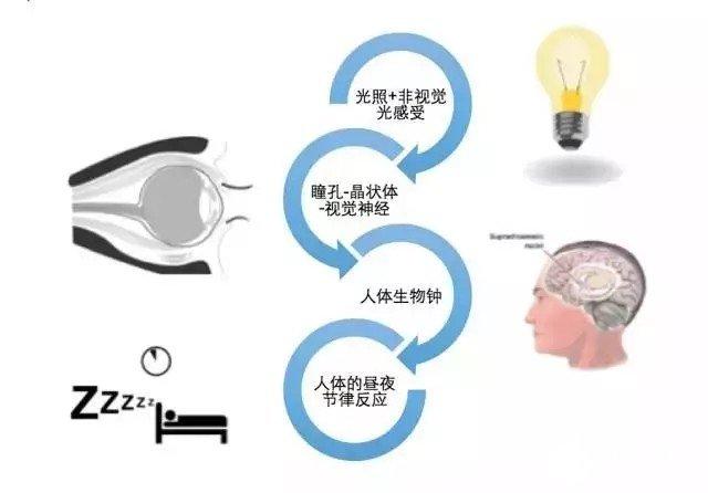 随着技术不断进步，健康照明将成为LED行业的下一个风口